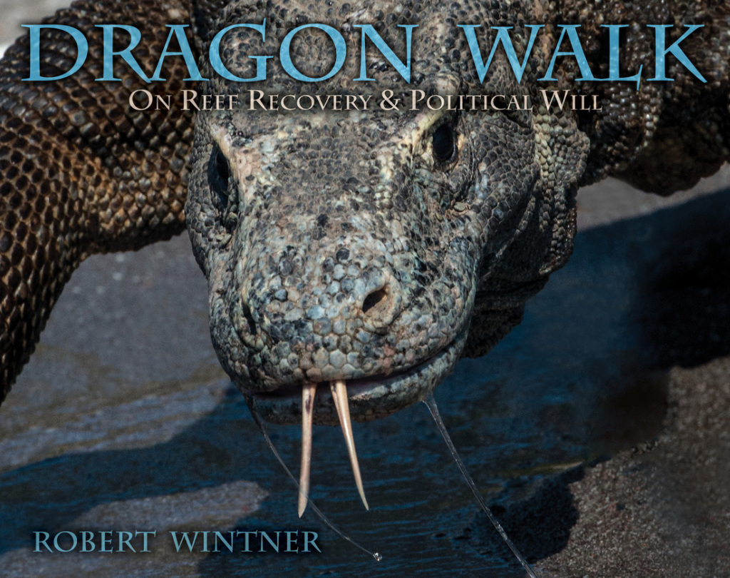 Dragon Walk On Reef Recovery & Political Will - (PDF/EPUB Version)