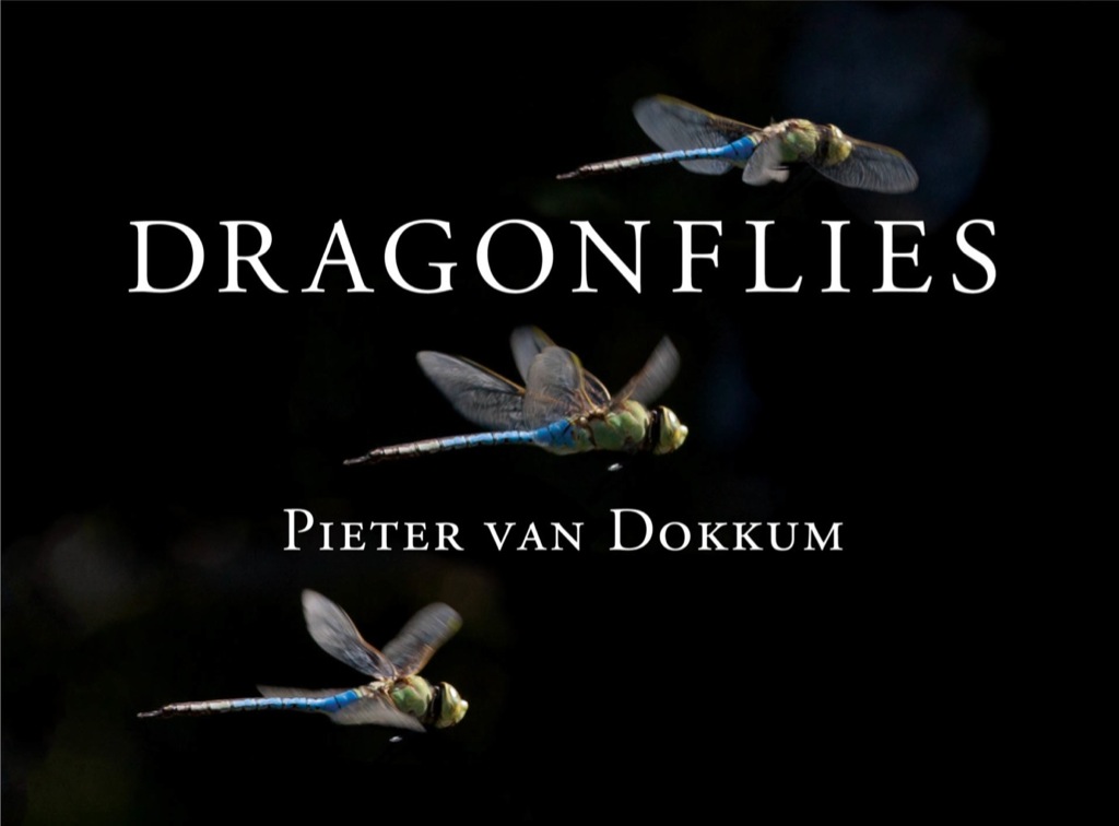 Dragonflies - (PDF/EPUB Version)