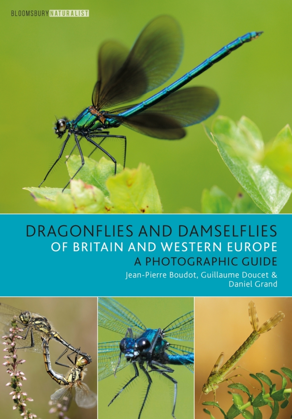 Dragonflies and Damselflies of Britain and Western Europe A Photographic Guide 1st Edition - (PDF/EPUB Version)