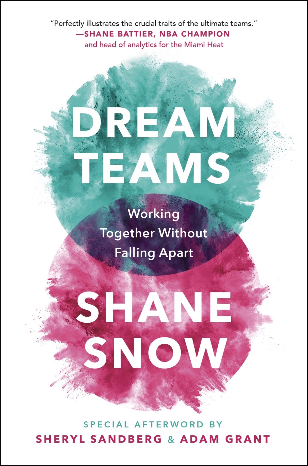 Dream Teams Working Together Without Falling Apart - (PDF/EPUB Version)
