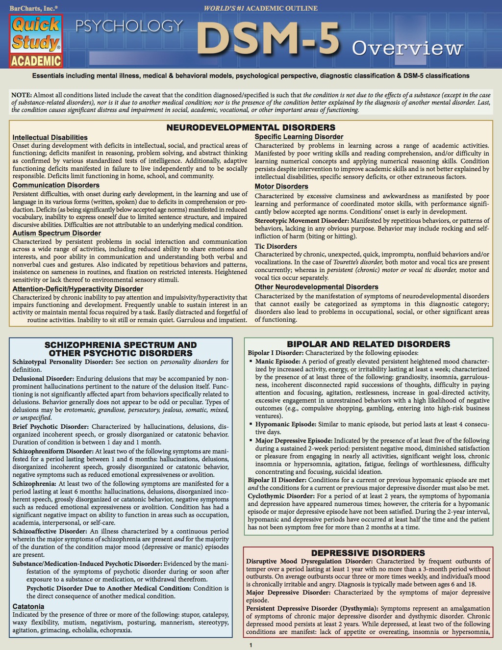 DSM-5 Overview 1st Edition - (PDF/EPUB Version)