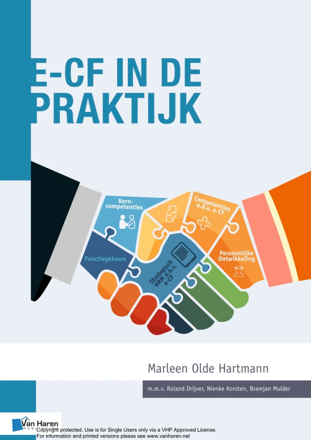 e-CF in de Praktijk 1st Edition - (PDF/EPUB Version)