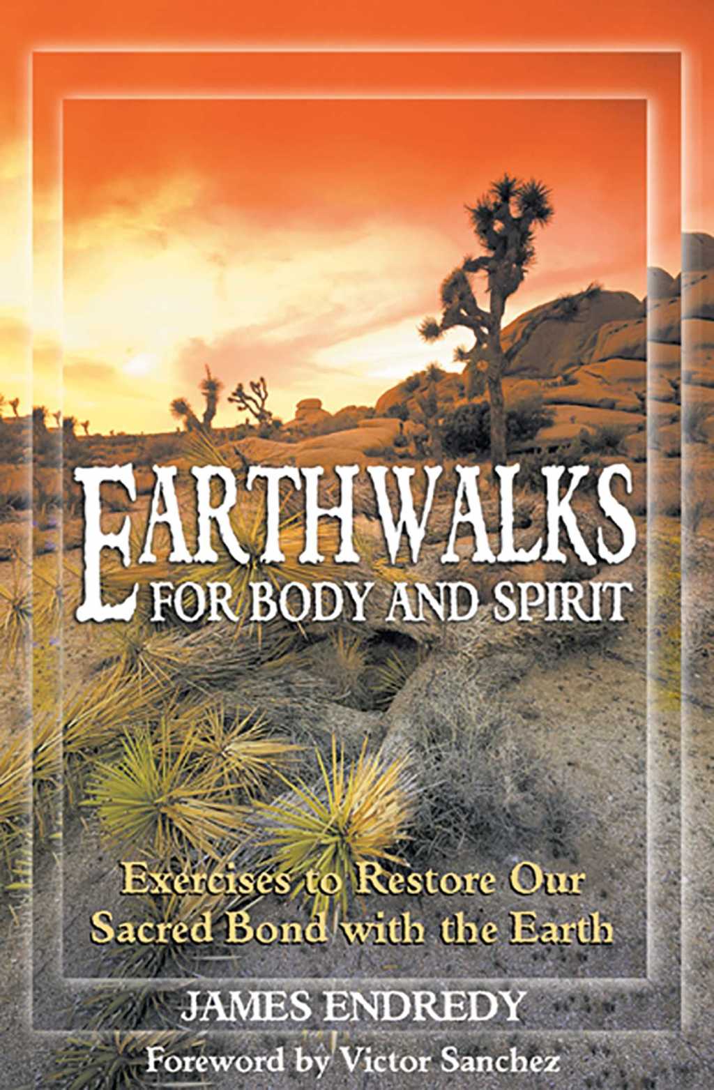 Earthwalks for Body and Spirit Exercises to Restore Our Sacred Bond with the Earth - (PDF/EPUB Version)