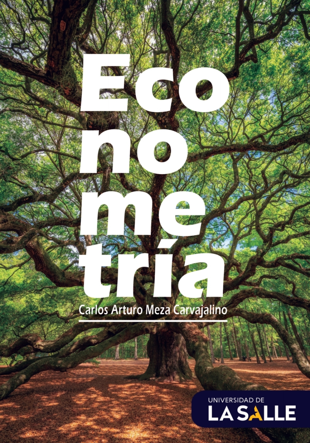 EconometrÃ­a 1st Edition - (PDF/EPUB Version)