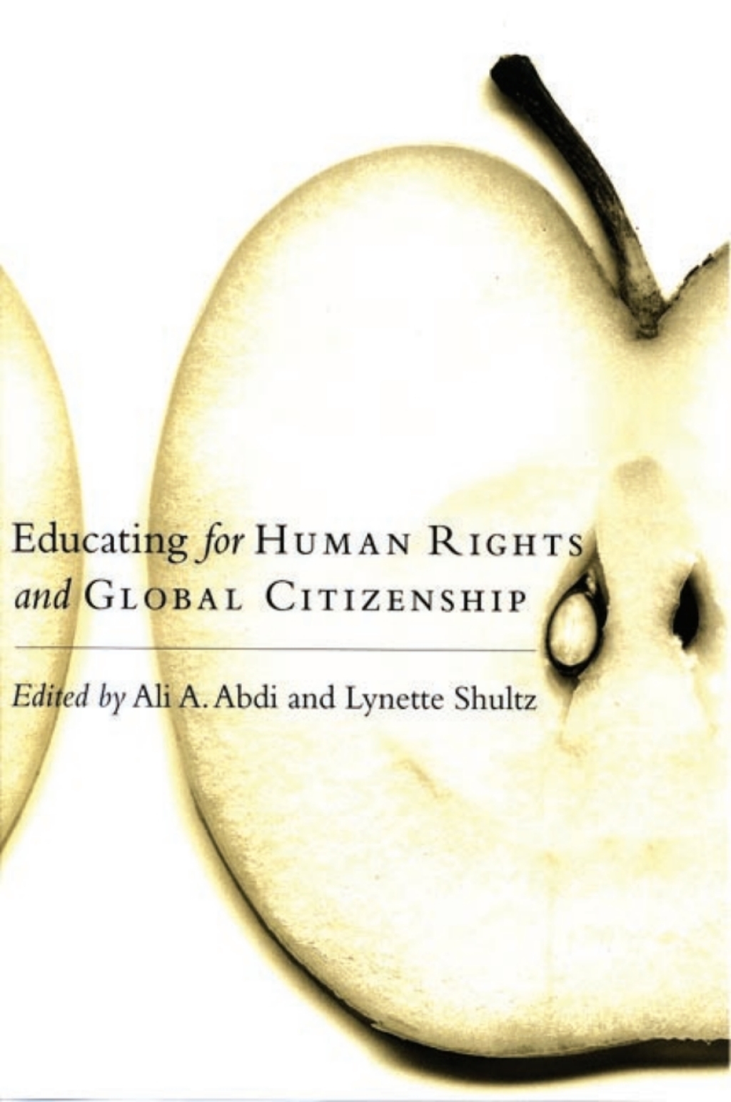 Educating for Human Rights and Global Citizenship - (PDF/EPUB Version)
