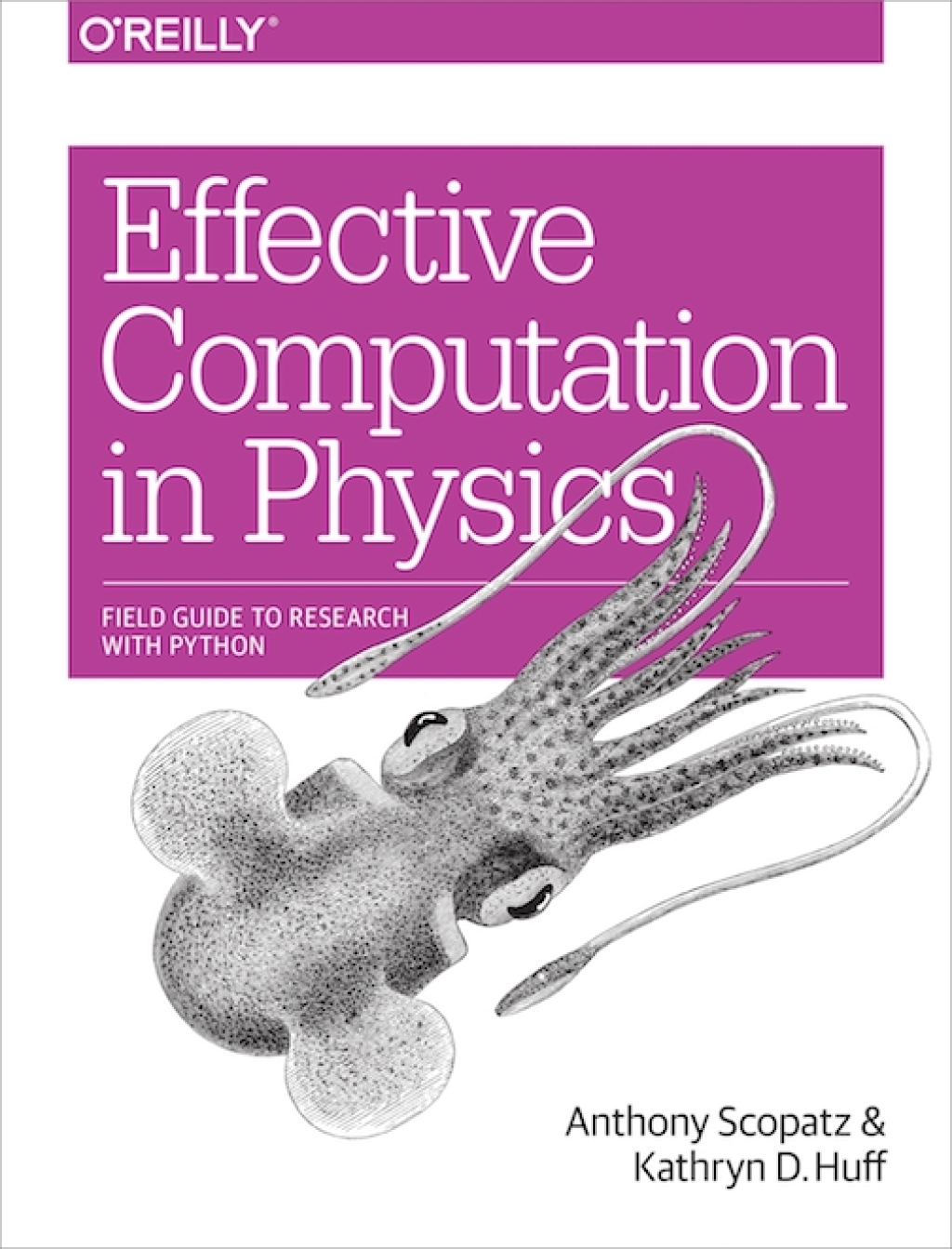 Effective Computation in Physics Field Guide to Research with Python ...