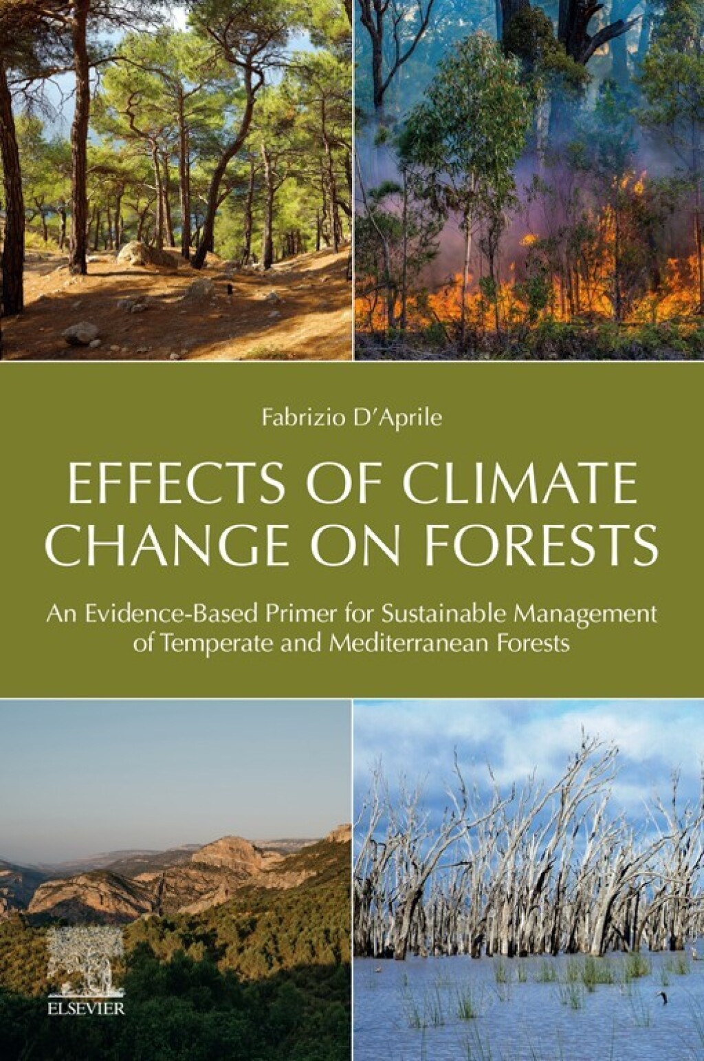 Primer Climate Effects of Climate Change on Forests An Evidence-Based Primer for ...