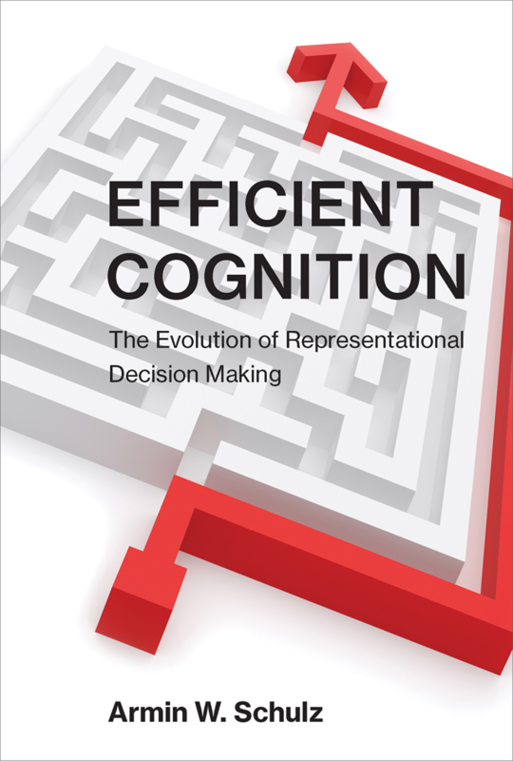 Efficient Cognition The Evolution of Representational Decision Making - (PDF/EPUB Version)