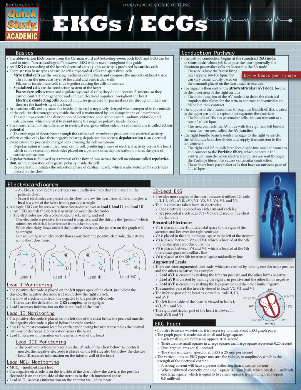 EKGS & ECGS STUDY GUIDE - (PDF/EPUB Version)