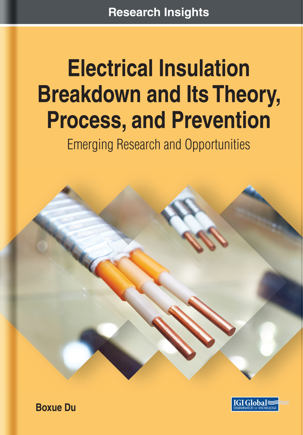 Electrical Insulation Breakdown and Its Theory, Process, and Prevention ...