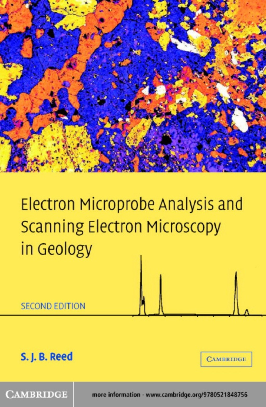 Electron Microprobe Analysis and Scanning Electron Microscopy in ...