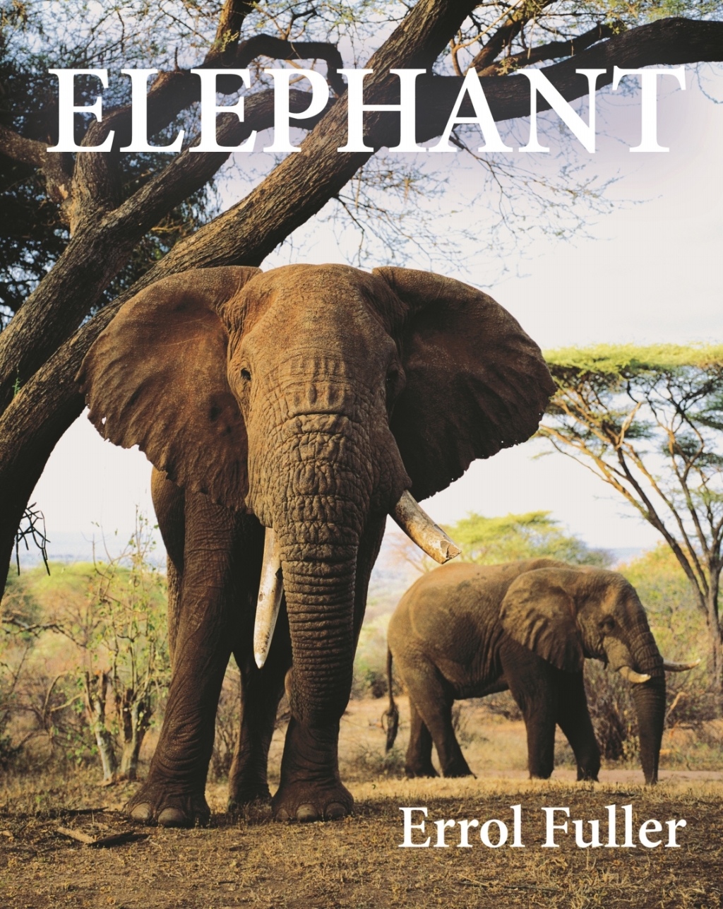 Elephant - (PDF/EPUB Version)