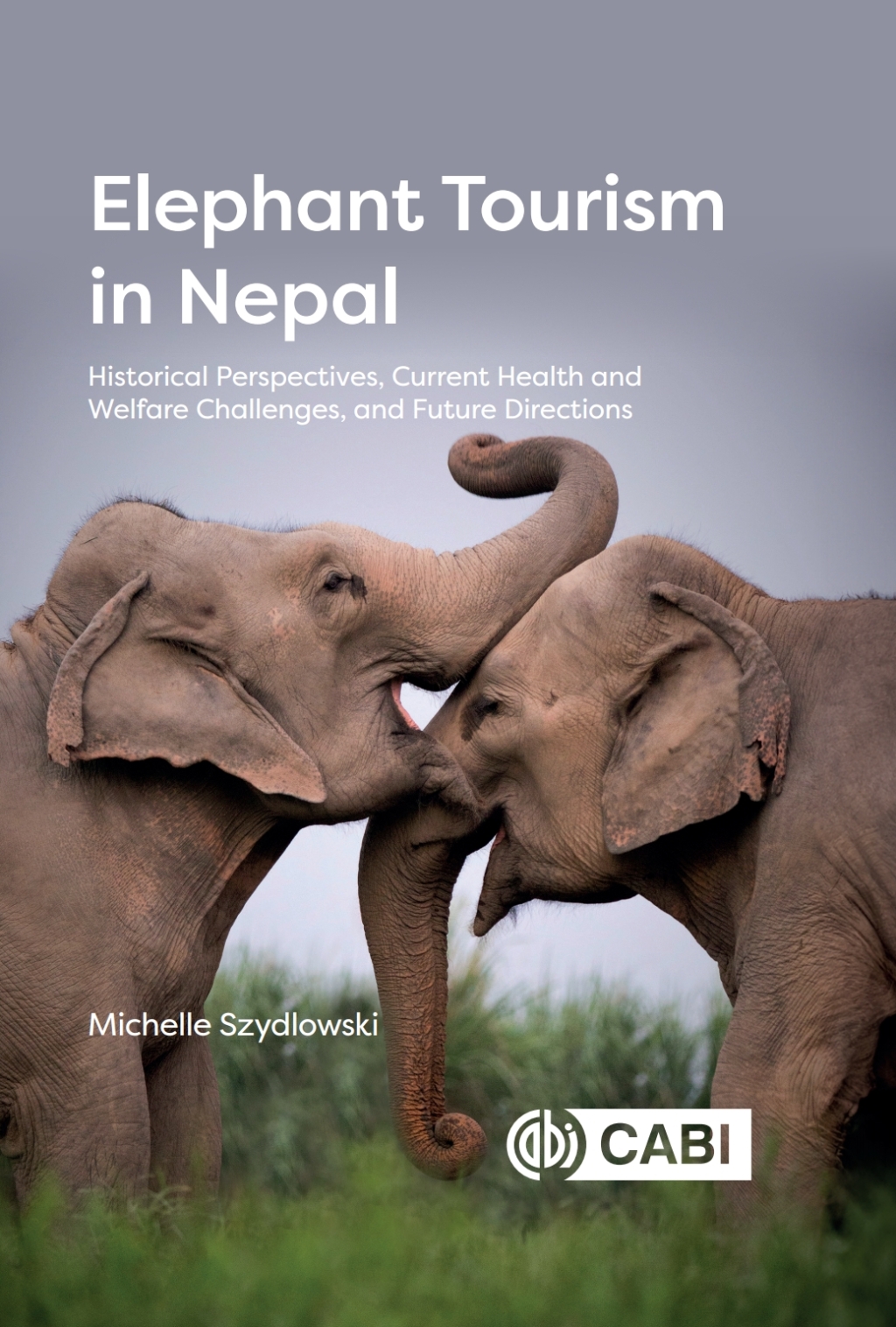 Elephant Tourism in Nepal Historical Perspectives, Current Health and Welfare Challenges, and Future Directions  â€“ PDF/EPUB Version Downloadable