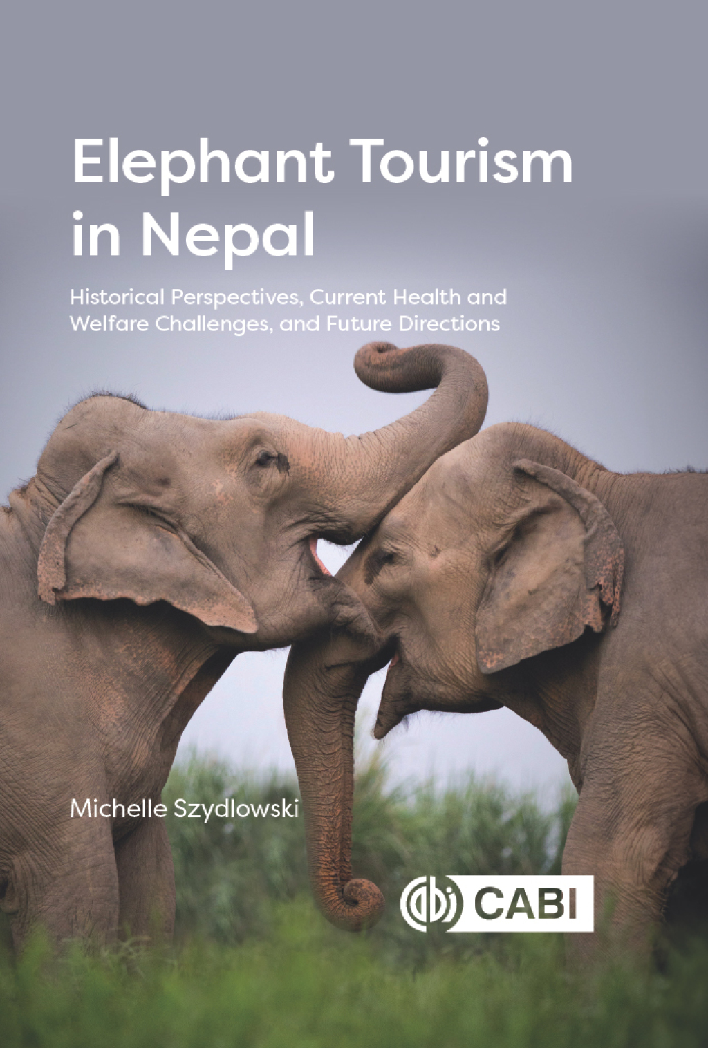 Elephant Tourism in Nepal Historical Perspectives, Current Health and Welfare Challenges, and Future Directions – PDF/EPUB Version Downloadable Elephant Tourism in Nepal Historical Perspectives, Current Health and Welfare Challenges, and Future Directions – PDF/EPUB Version Downloadable - Image 1