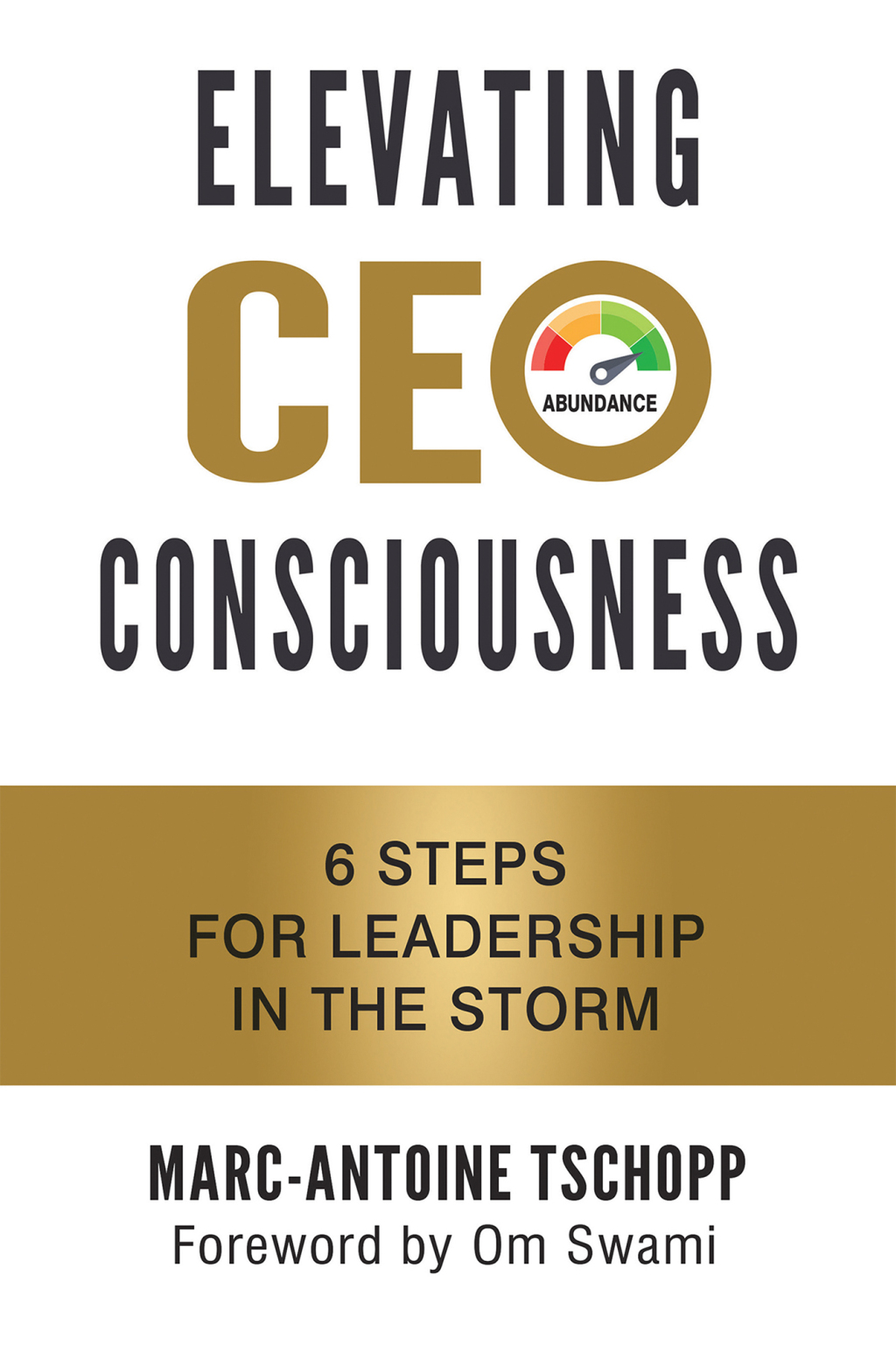 ELEVATING CEO CONSCIOUSNESS 6 STEPS FOR LEADERSHIP IN THE STORM - (PDF/EPUB Version)