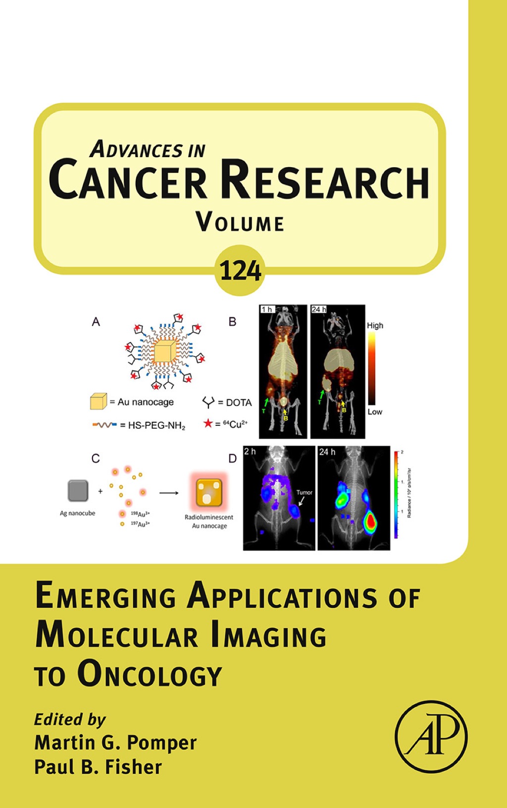 Emerging Applications of Molecular Imaging to Oncology â€“ PDF/EPUB ...