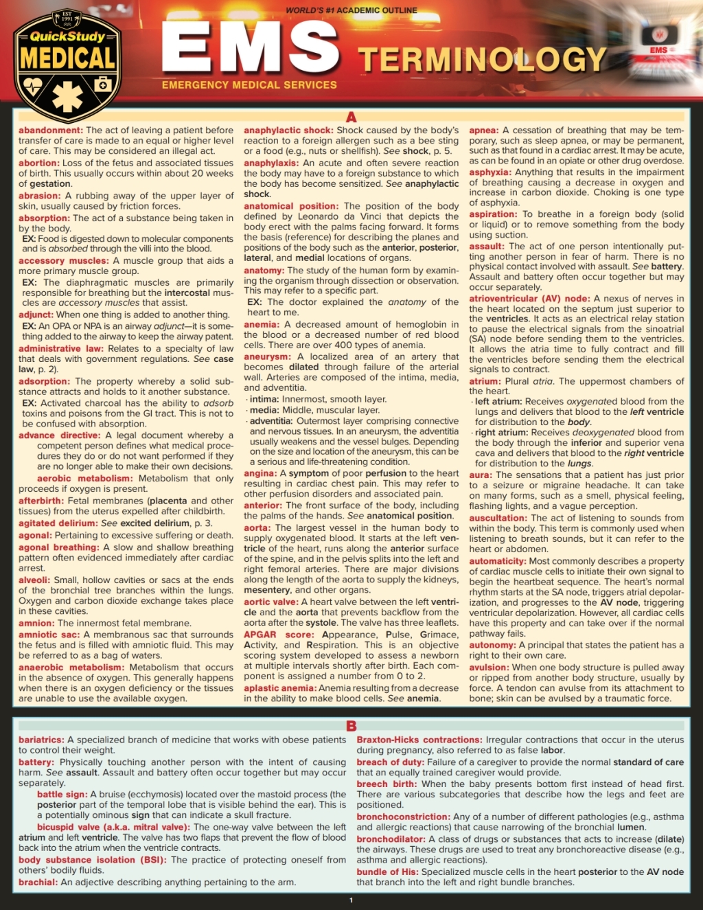 EMS Terminology a QuickStudy Digital Reference Guide 1st Edition - (PDF/EPUB Version)