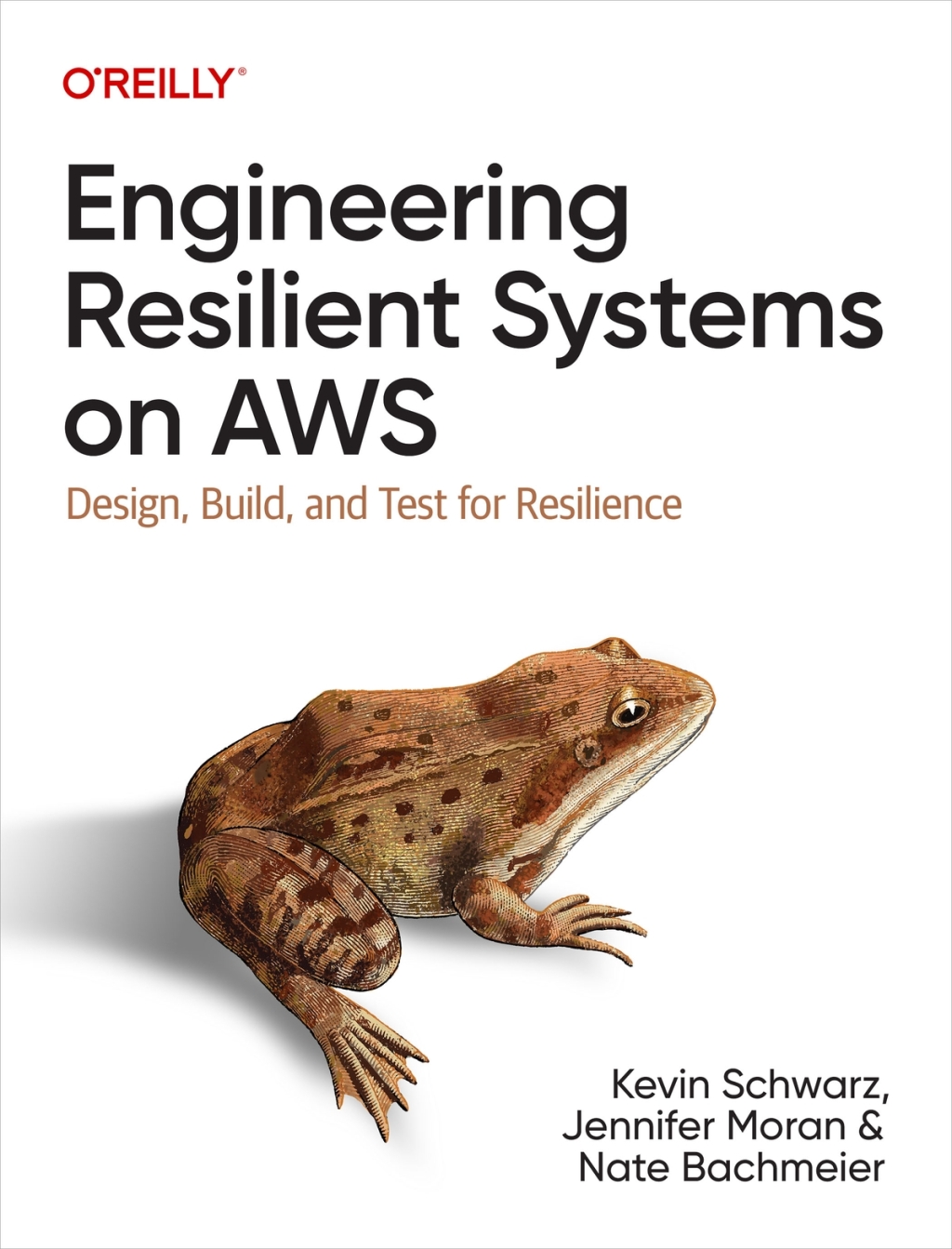 Engineering Resilient Systems on AWS Design, Build, and Test for ...