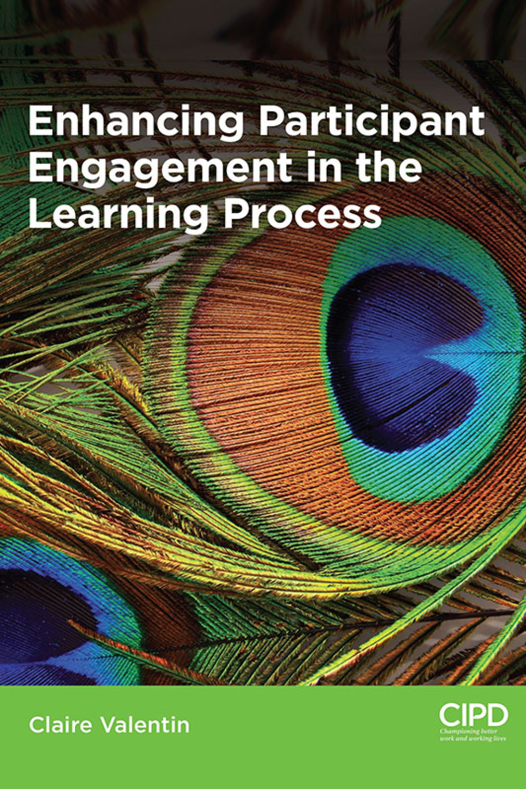 Enhancing Participant Engagement in the Learning Process 1st Edition - (PDF/EPUB Version)