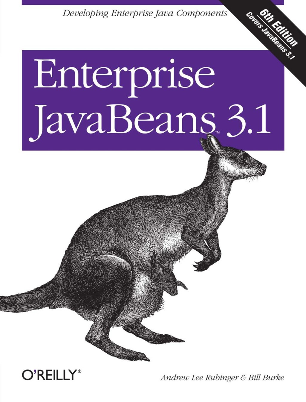 Enterprise JavaBeans 3.1 Developing Enterprise Java Components 6th ...
