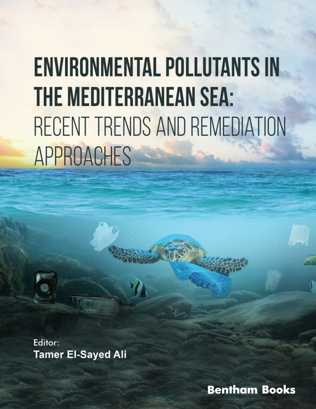 Environmental Pollutants in the Mediterranean Sea: Recent Trends and Remediation Approaches 1st Edition - (PDF/EPUB Version)
