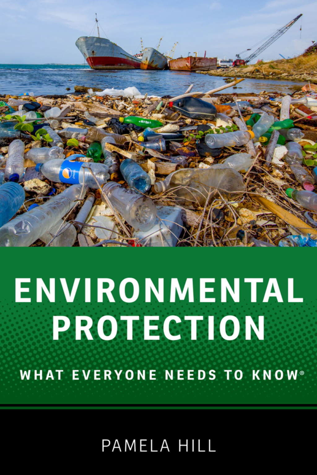 Environmental Protection What Everyone Needs to KnowÂ® - (PDF/EPUB Version)