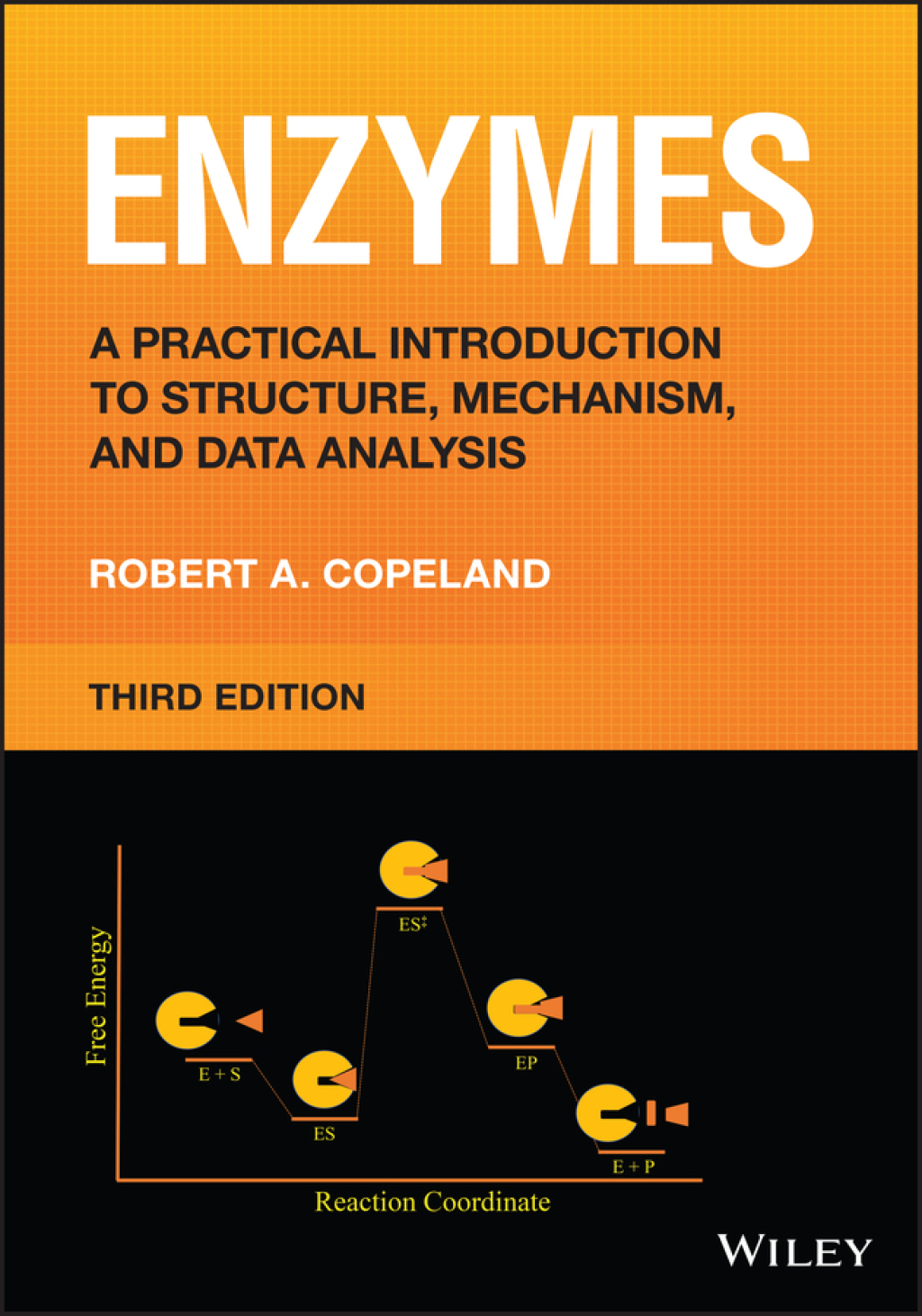 Enzymes A Practical Introduction to Structure, Mechanism, and Data Analysis 3rd Edition â€“ PDF/EPUB Version Downloadable