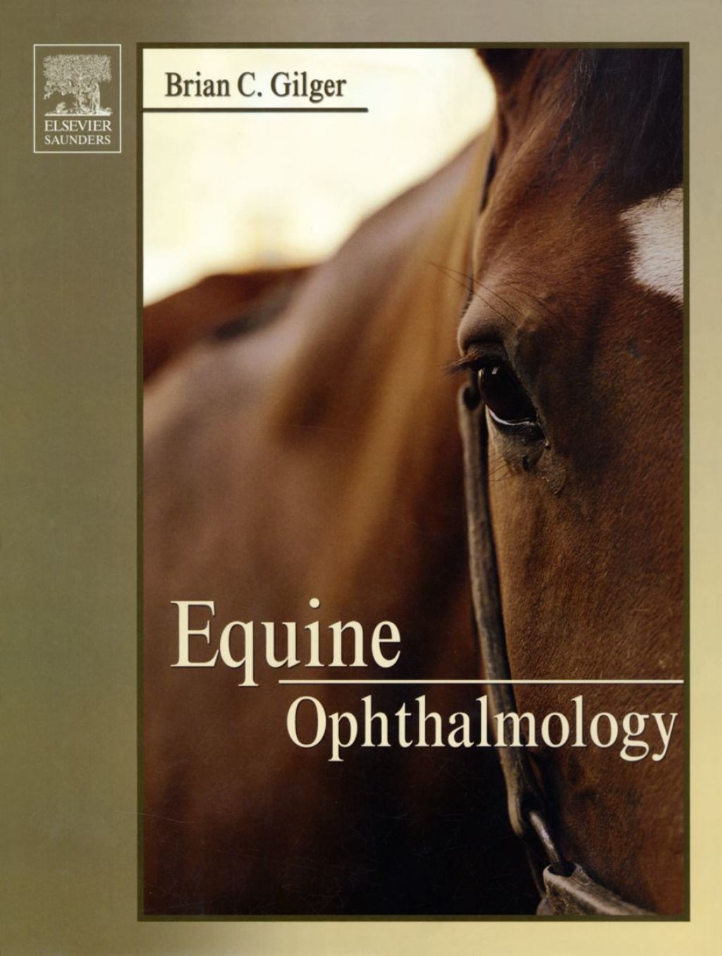 Equine Ophthalmology 1st Edition â€“ PDF/EPUB Version Downloadable