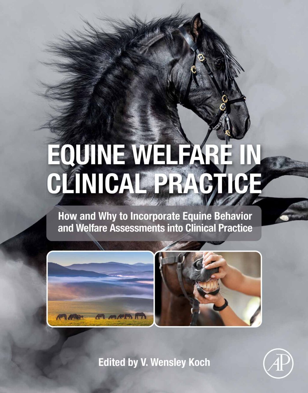 Equine Welfare in Clinical Practice 1st Edition â€“ PDF/EPUB Version ...