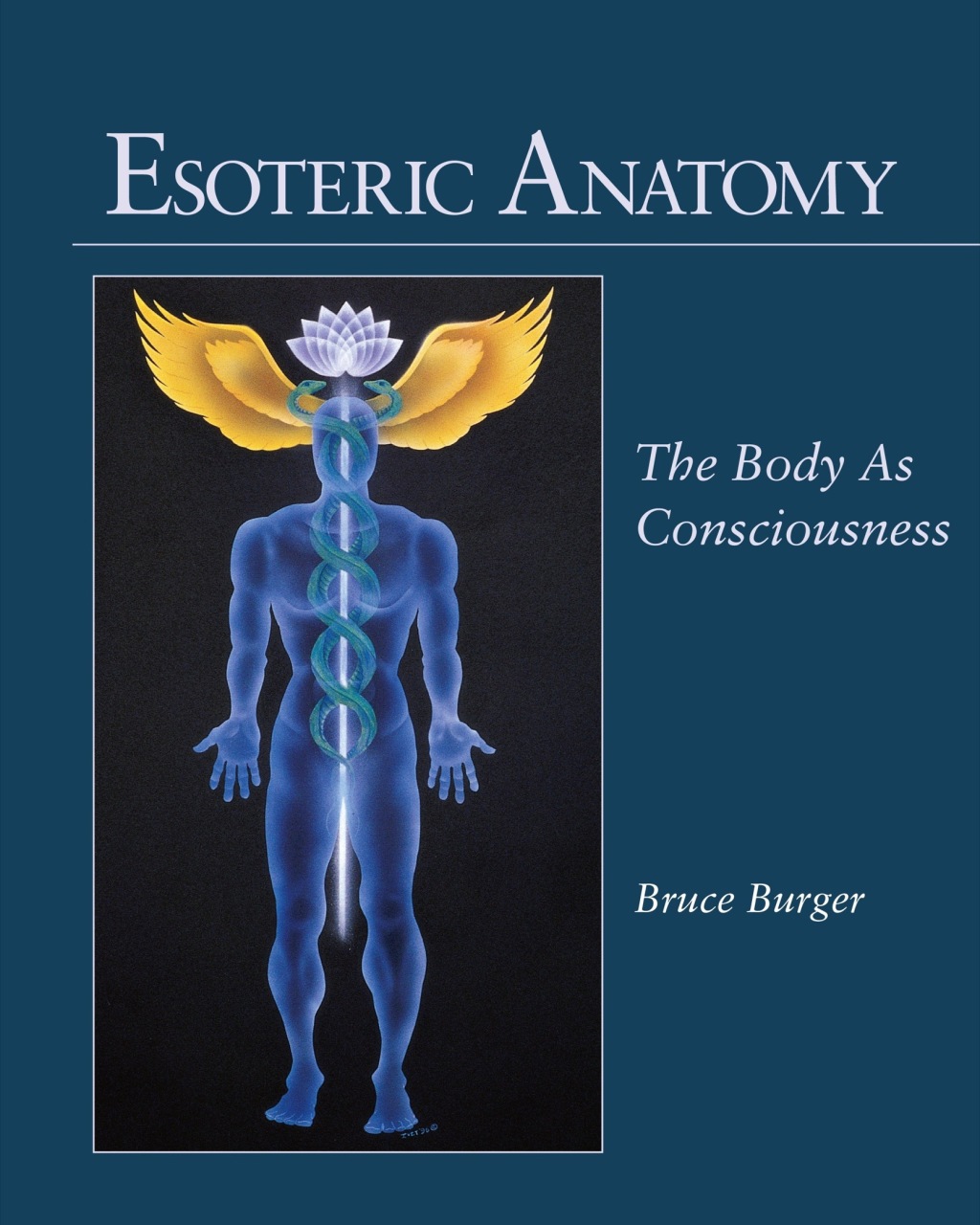 Esoteric Anatomy The Body as Consciousness - (PDF/EPUB Version)