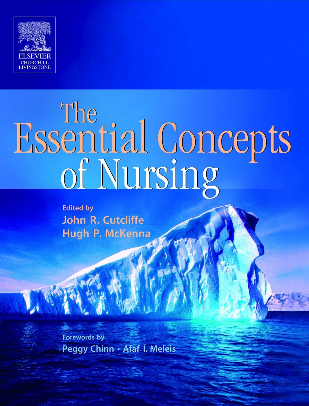 Essential Concepts of Nursing 1st Edition - (PDF/EPUB Version)