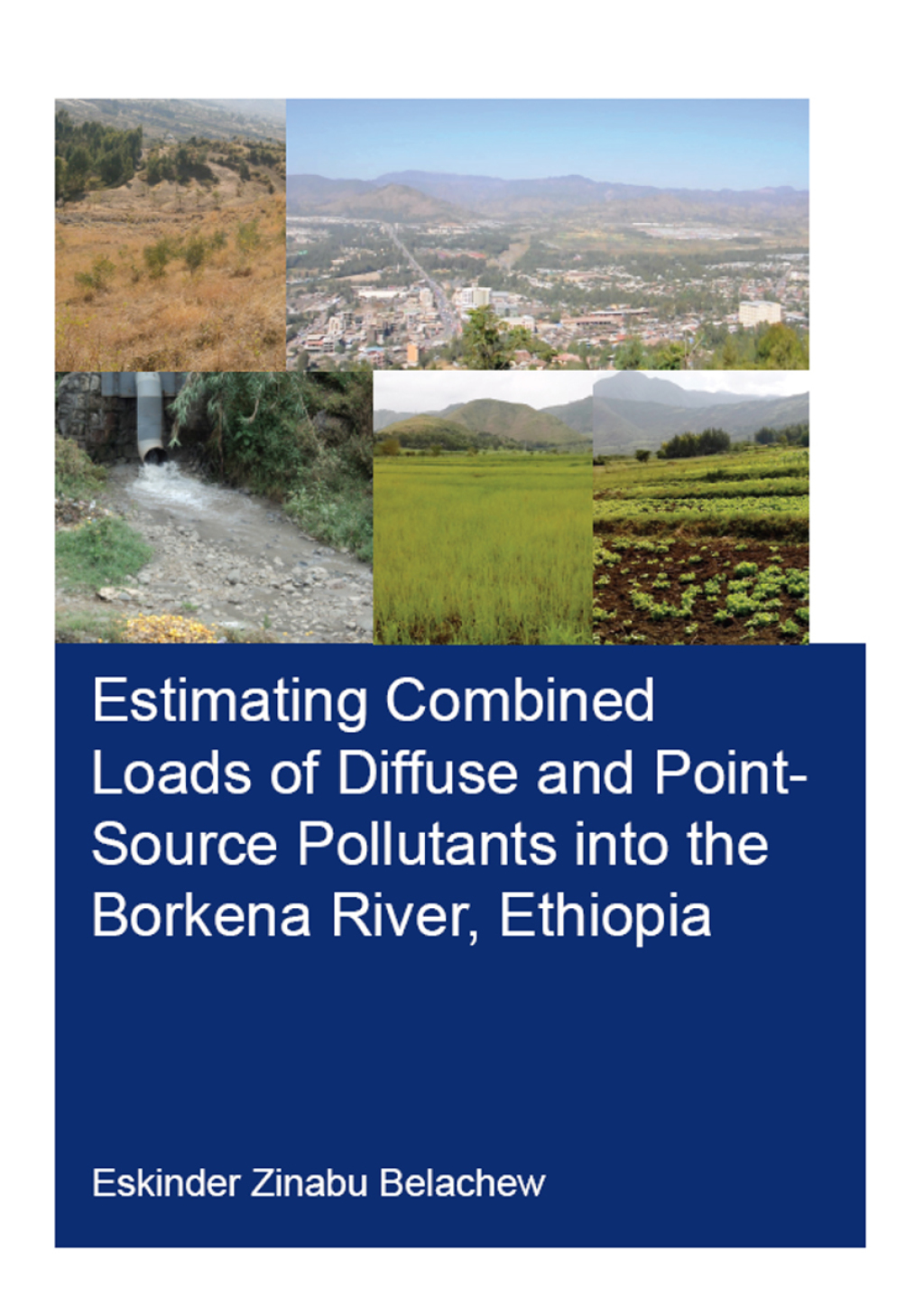 Estimating Combined Loads of Diffuse and Point-Source Pollutants Into ...