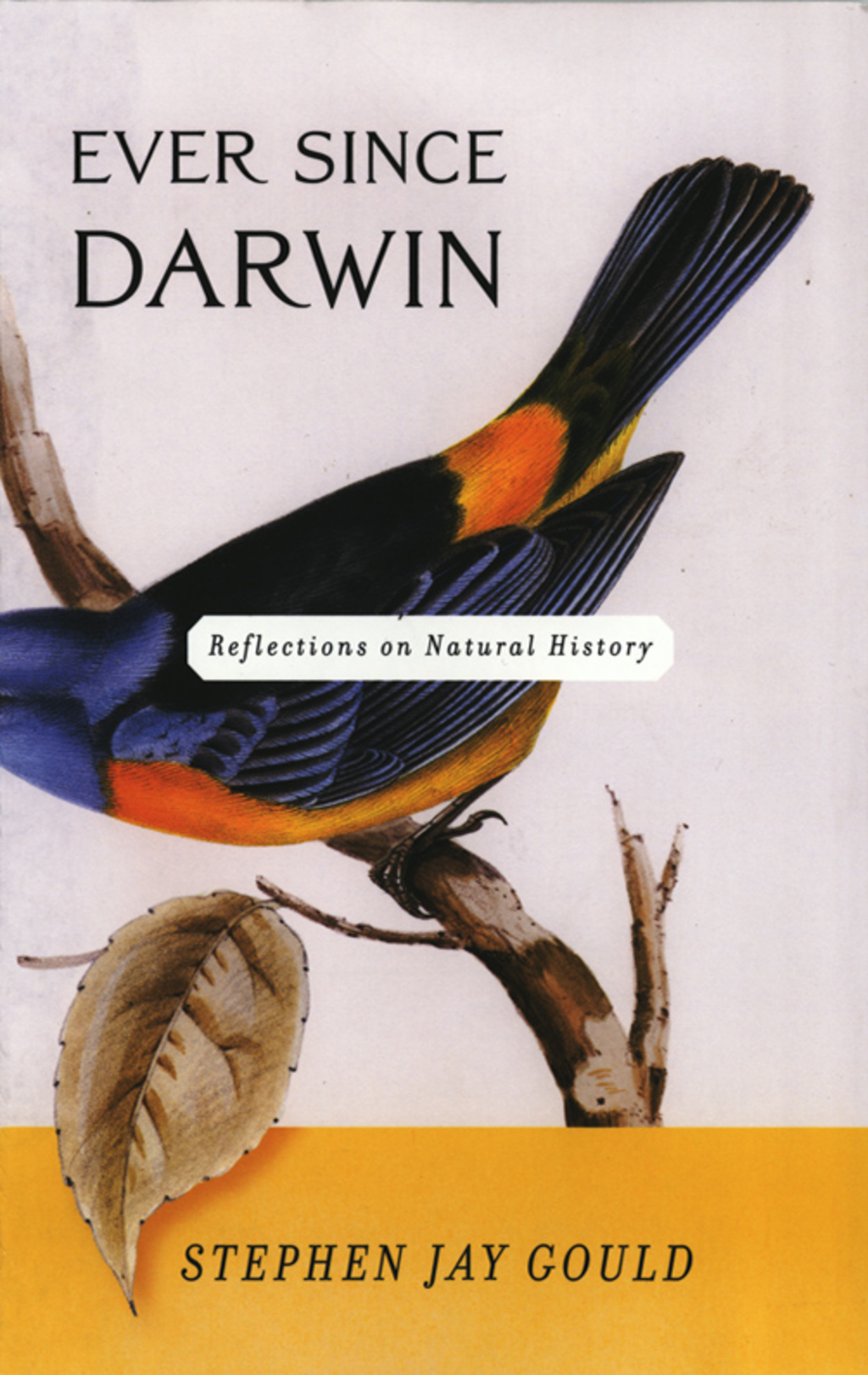 Ever Since Darwin: Reflections in Natural History - (PDF/EPUB Version)