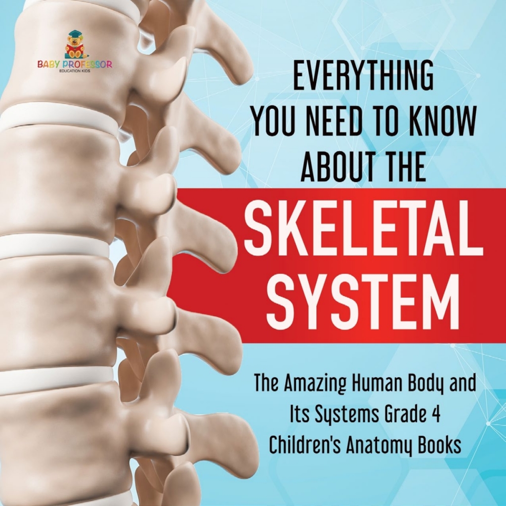 Everything You Need to Know About the Skeletal System | The Amazing Human Body and Its Systems Grade 4 | Children's Anatomy Books - (PDF/EPUB Version)