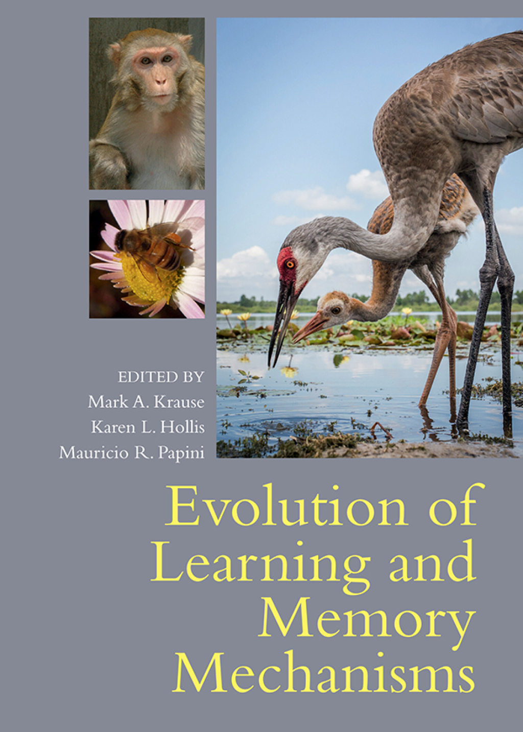 Evolution of Learning and Memory Mechanisms â€“ PDF/EPUB Version ...