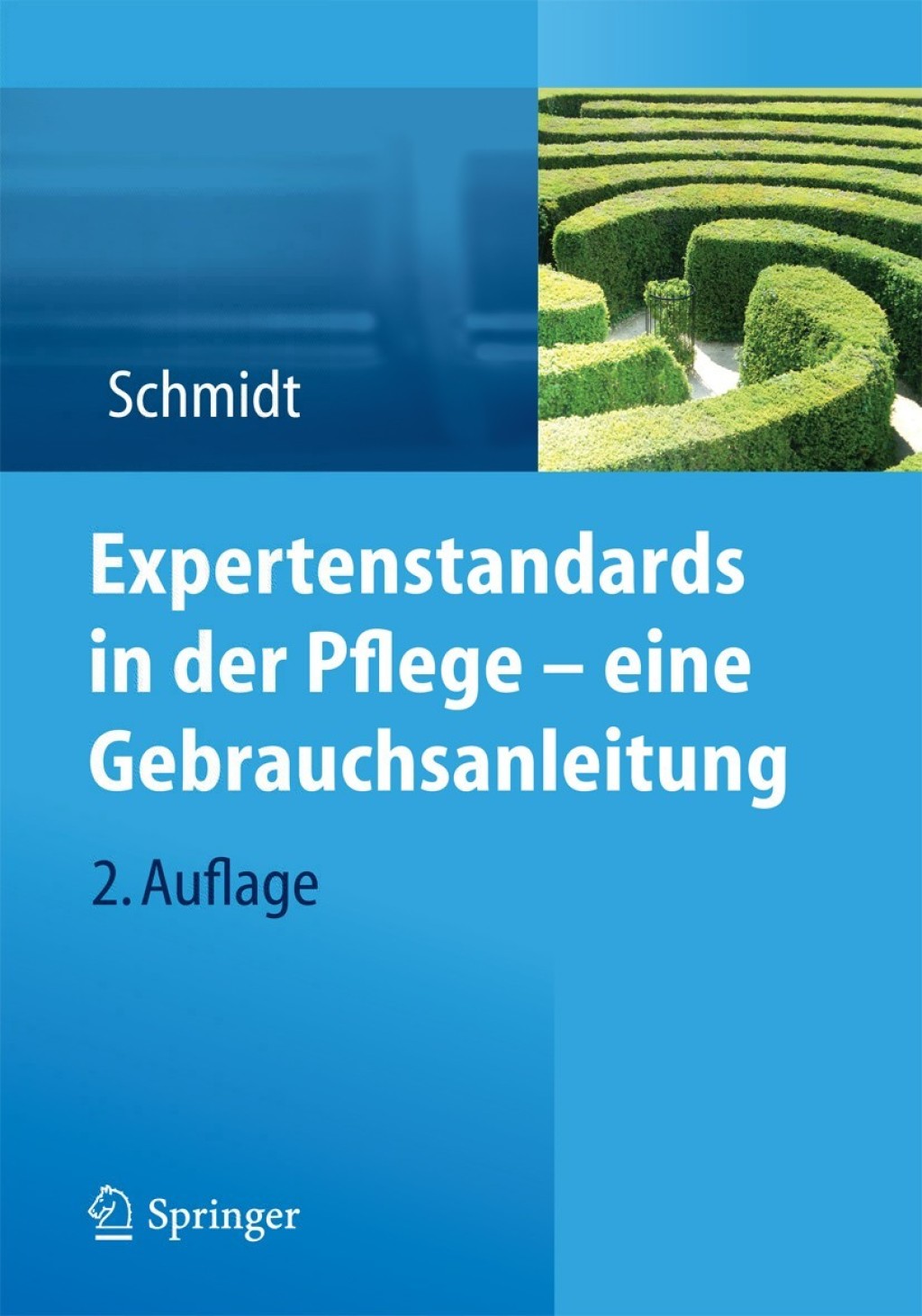 Expertenstandards in der Pflege - eine Gebrauchsanleitung 2nd Edition - (PDF/EPUB Version)