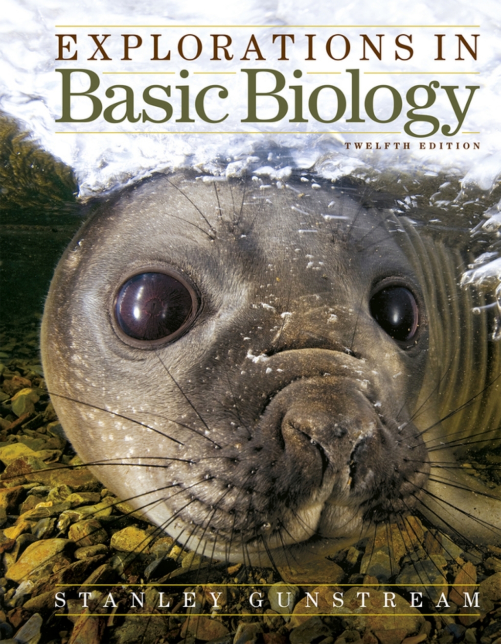 Explorations in Basic Biology (Pearson+) 12th Edition â€“ PDF/EPUB Version Downloadable