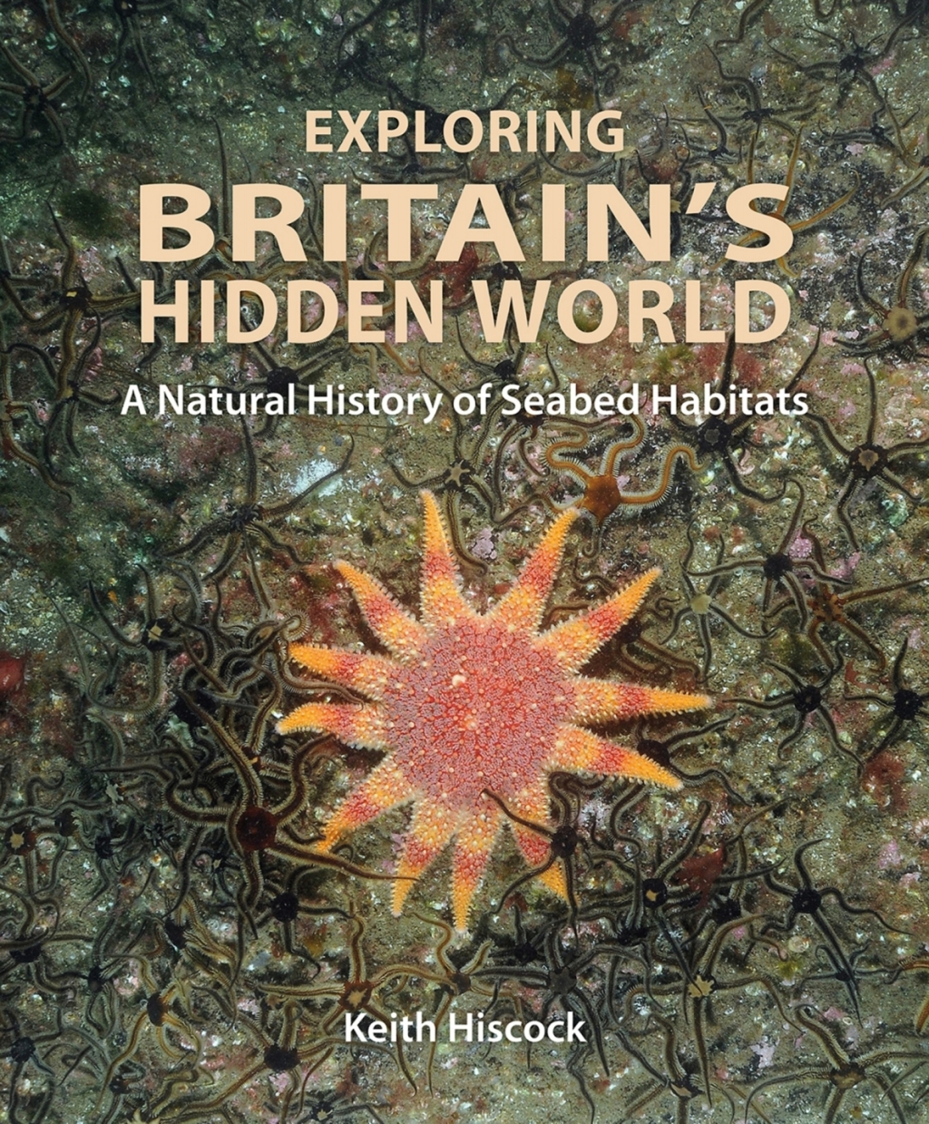 Exploring Britain's Hidden World A Natural History of Seabed Habitats - (PDF/EPUB Version)