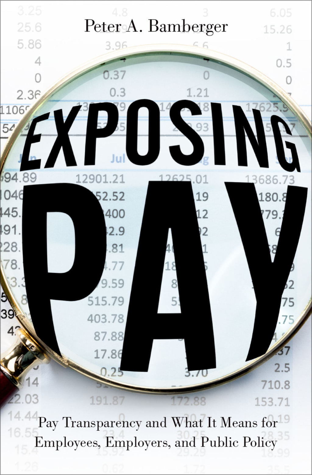 Exposing Pay Pay Transparency and What It Means for Employees, Employers, and Public Policy - (PDF/EPUB Version)