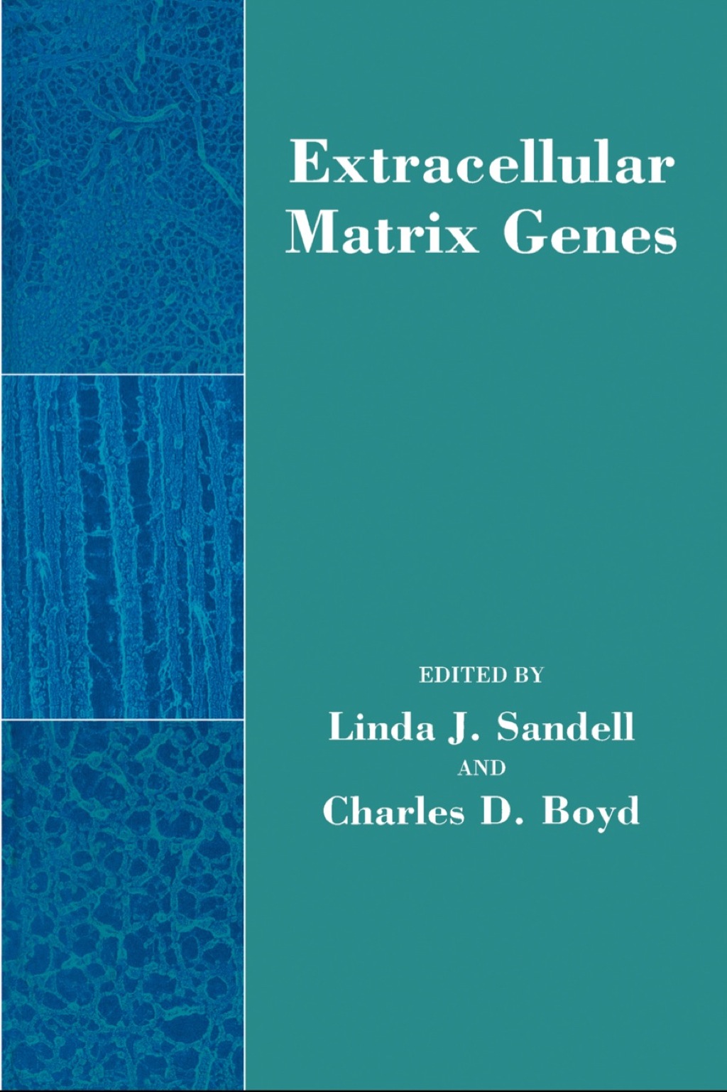 Extracellular Matrix Assembly and Structure â€“ PDF/EPUB Version ...