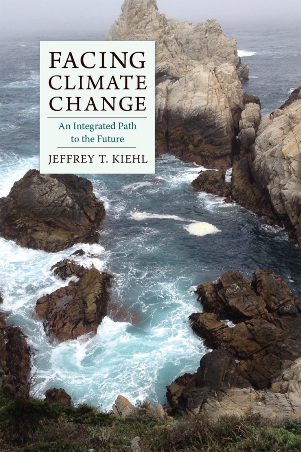 Facing Climate Change An Integrated Path to the Future - (PDF/EPUB Version)