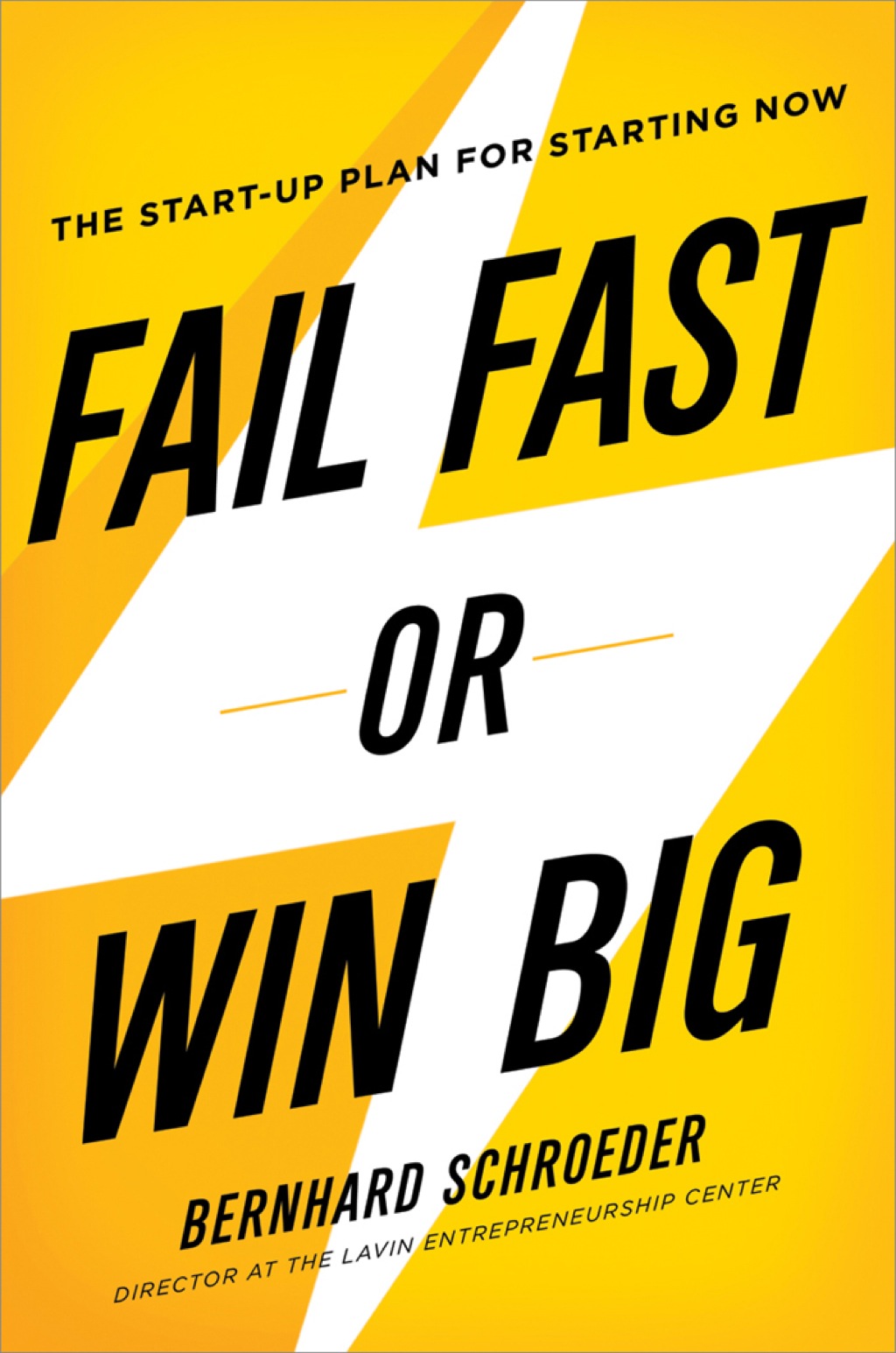 Fail Fast or Win Big The Start-Up Plan for Starting Now 1st Edition - (PDF/EPUB Version)