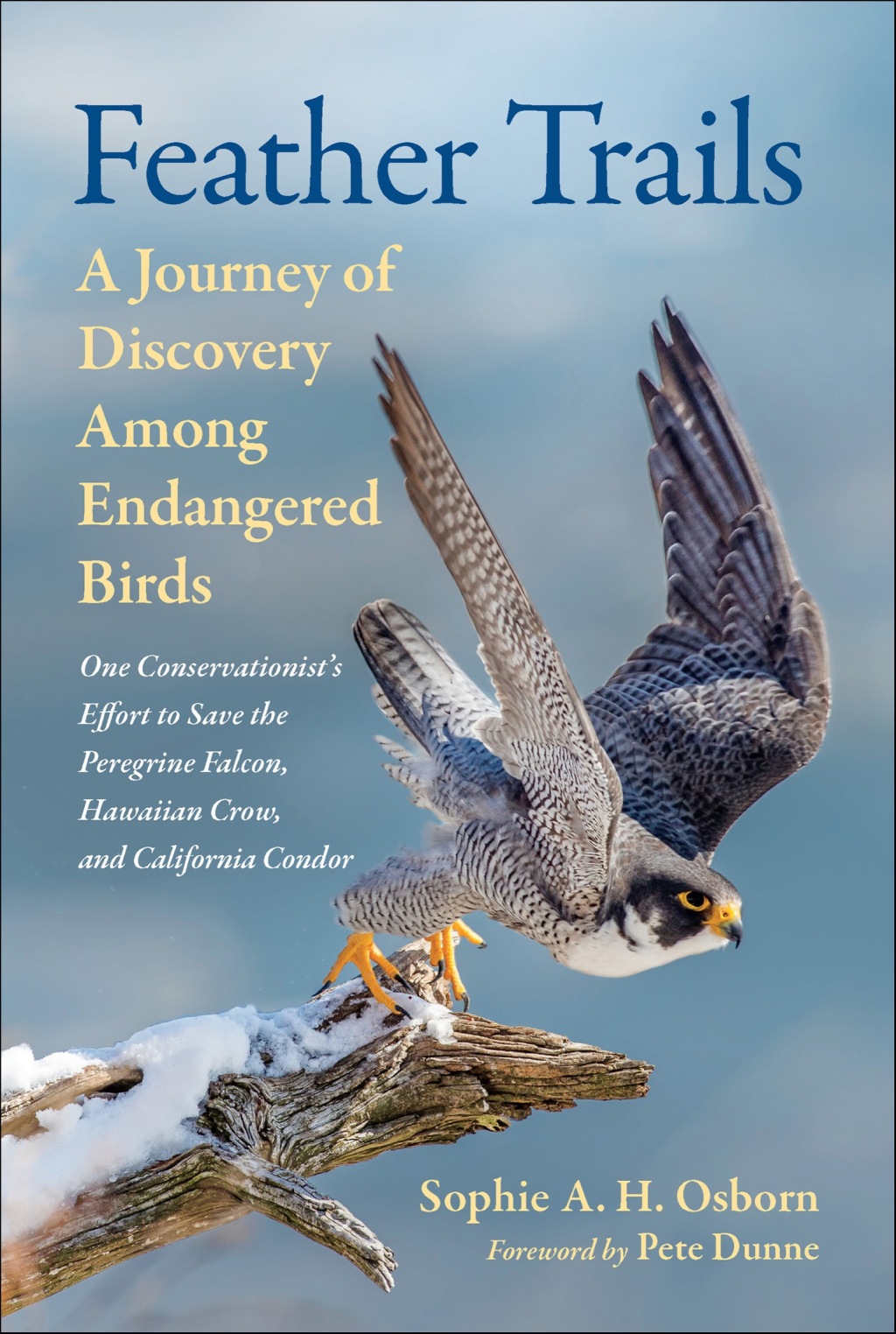 Feather Trails A Journey of Discovery Among Endangered Birds 1st Edition - (PDF/EPUB Version)