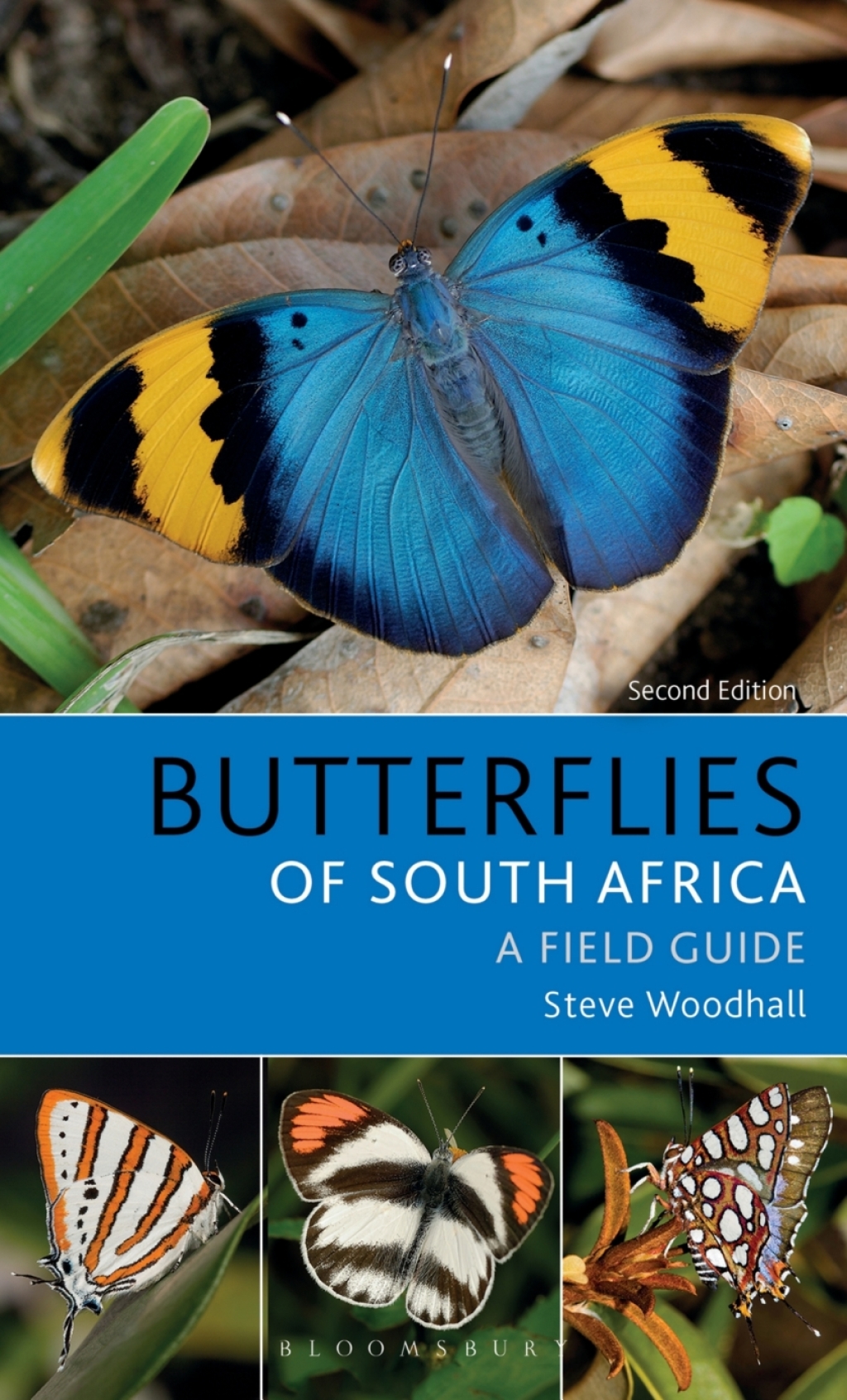 Field Guide to Butterflies of South Africa 2nd Edition - (PDF/EPUB Version)