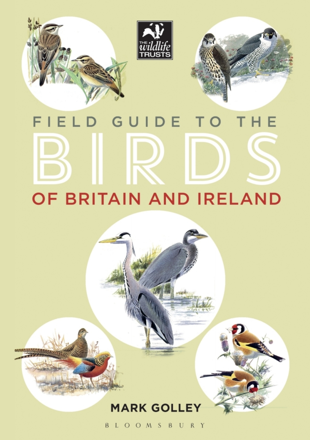 Field Guide to the Birds of Britain and Ireland 1st Edition - (PDF/EPUB Version)