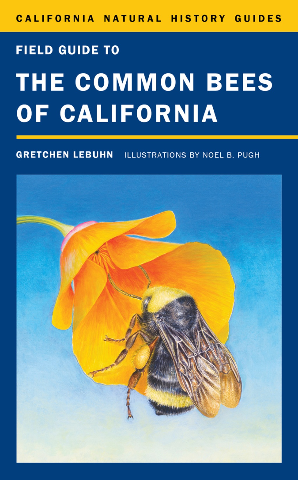 Field Guide to the Common Bees of California Including Bees of the Western United States 1st Edition - (PDF/EPUB Version)