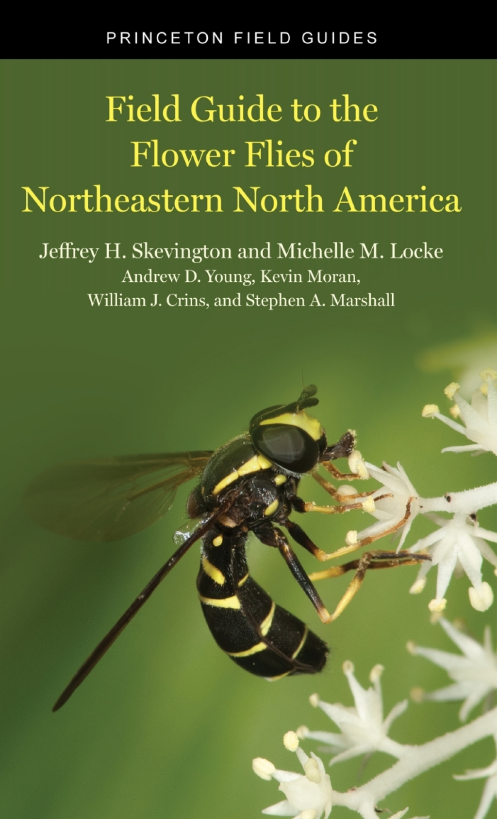 Field Guide to the Flower Flies of Northeastern North America - (PDF/EPUB Version)
