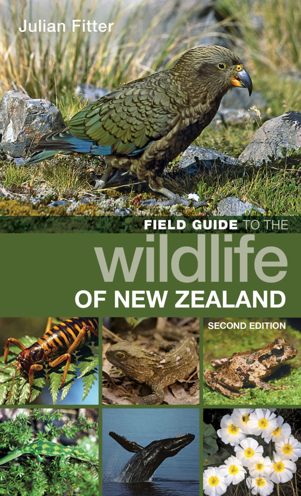 Field Guide to the Wildlife of New Zealand 2nd Edition - (PDF/EPUB Version)
