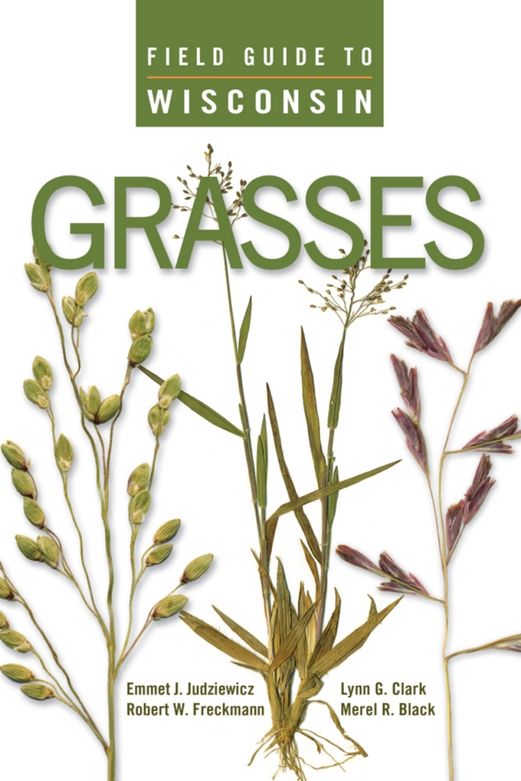 Field Guide to Wisconsin Grasses - (PDF/EPUB Version)