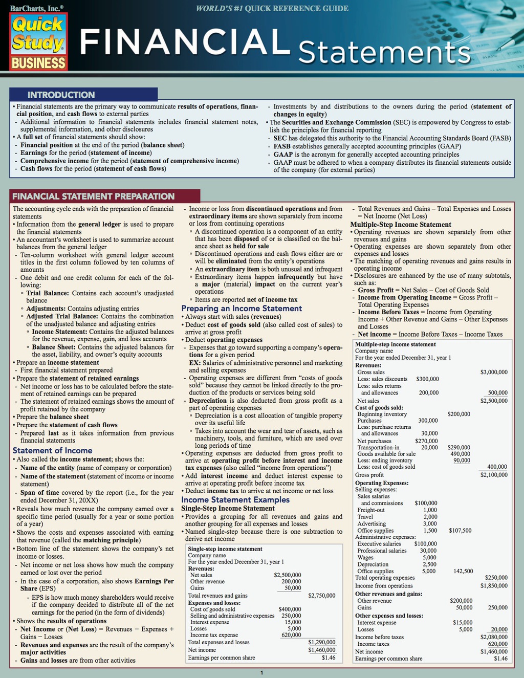 Financial Statements - (PDF/EPUB Version)